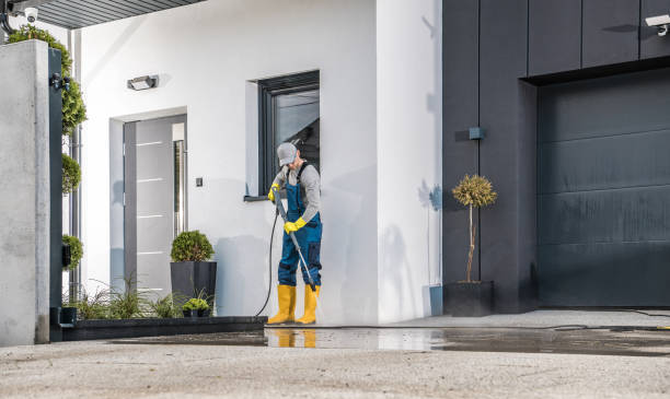 Best Solar Panel Cleaning  in Winterset, IA